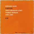 Giovanni Guidi A New Day (LP)