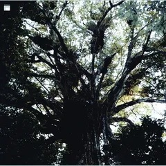 Lysne/Simonsen Spektralmaskin (CD)