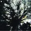 Lysne/Simonsen Spektralmaskin (CD)