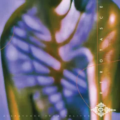 Ortrotasce Dispatches From Solitude (LP)