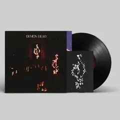 Demon Head Through Holes Shine The Stars (LP)