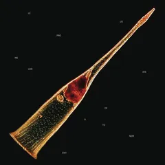 Leprous Melodies Of Atonement (CD)