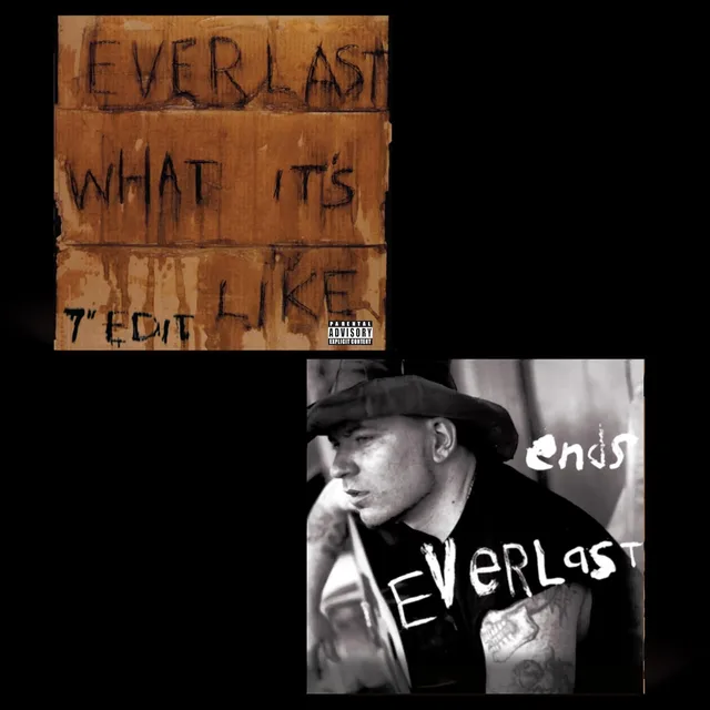 Everlast What It's Like - LTD (7") 