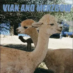 Pedro Vian &amp; Merzbow Inside Richard Serra Sculptures (LP)