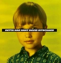 David Ritschard Detta Har Hänt - LTD (LP)