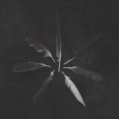 Caspian Dust And Disquiet - LTD (LP)