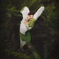 La Fleur Väsen - LTD (LP)