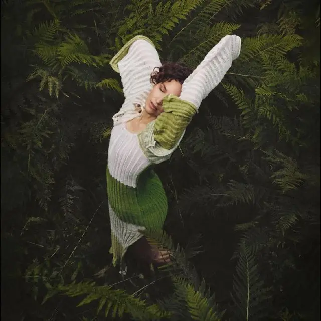 La Fleur Väsen - LTD (LP) 