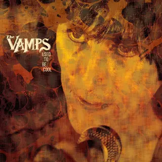The Vamps Used To Be Cool (LP)
