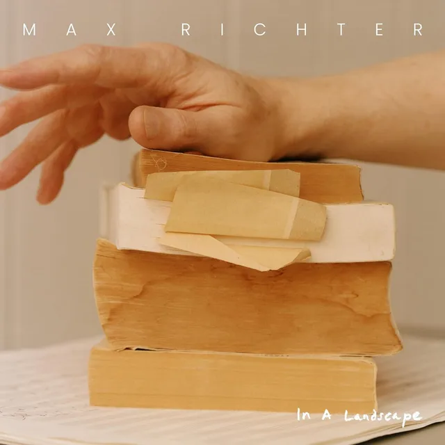 Max Richter In A Landscape (2LP) 