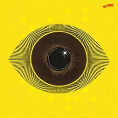Meshell Ndegeocello No More Water: The Gospel… - LTD (2LP)