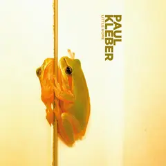 Paul Kleber Little Home (LP)