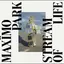 Maximo Park Stream Of Life - LTD (LP)