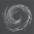 Dawn Of Midi Dysnomia (2LP)