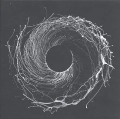 Dawn Of Midi Dysnomia (2LP)