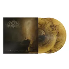 A Wake In Providence I Write To You, My Darling Decay (2LP)