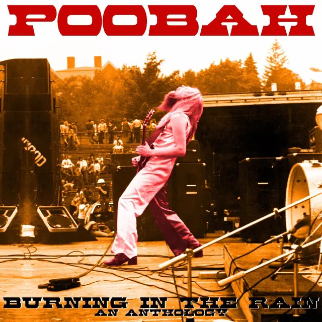 Poobah Burning In The Rain: An Anthology (2LP) 