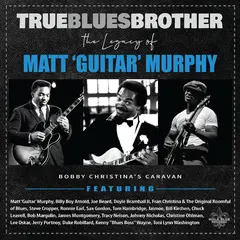 Diverse Artister True Blues Brother: The Legacy Of… (2LP)