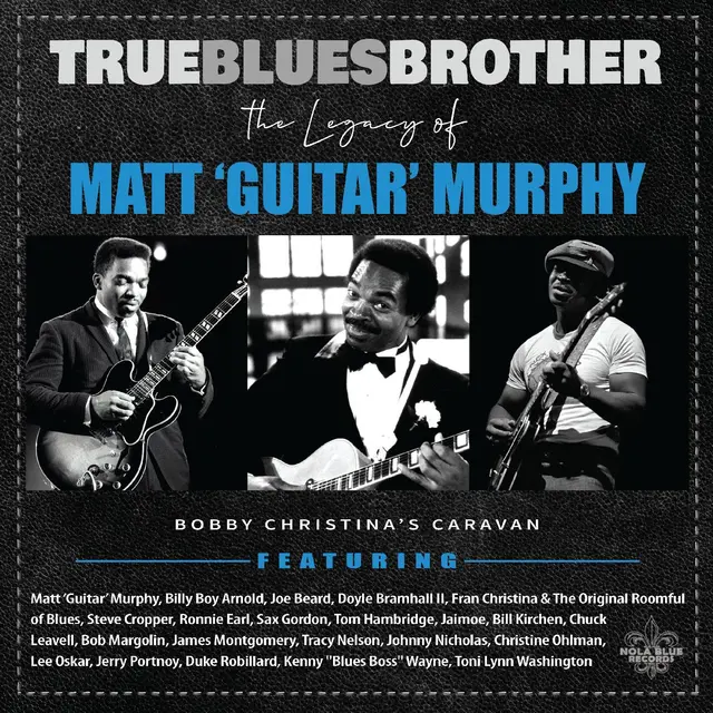 Diverse Artister True Blues Brother: The Legacy Of… (2LP) 