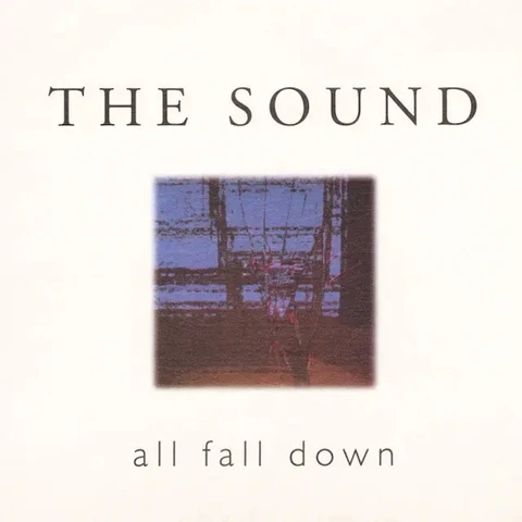 The Sound All Fall Down - LTD (LP) 