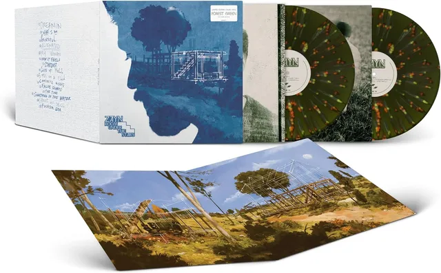 Zayn Room Under The Stairs - LTD (2LP) 