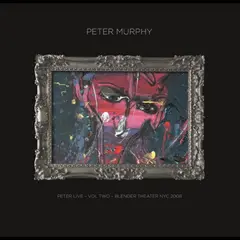 Peter Murphy Peter Live - Vol 2:  Blender… (2LP)