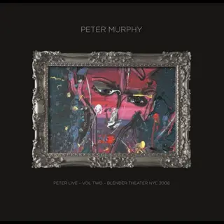 Peter Murphy Peter Live - Vol 2:  Blender… (2LP)