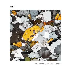 Filt Maximal Minimalism (LP)