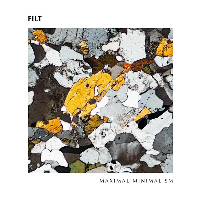 Filt Maximal Minimalism (LP) 