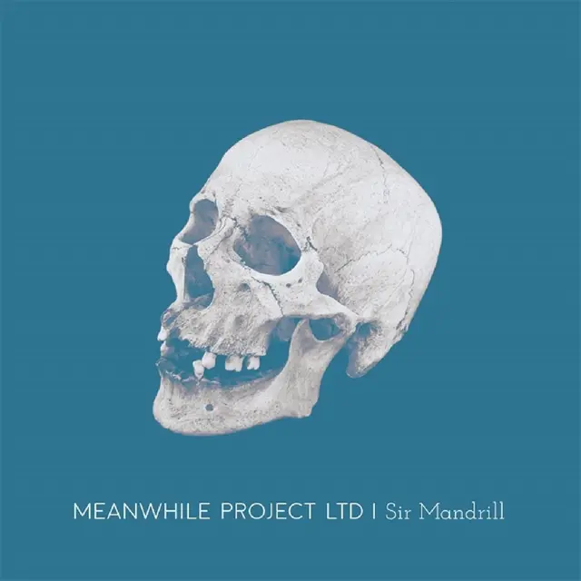 Meanwhile Project Ltd Sir Mandrill (LP) 