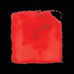 Salvia Palth Last Chance To See (2LP)