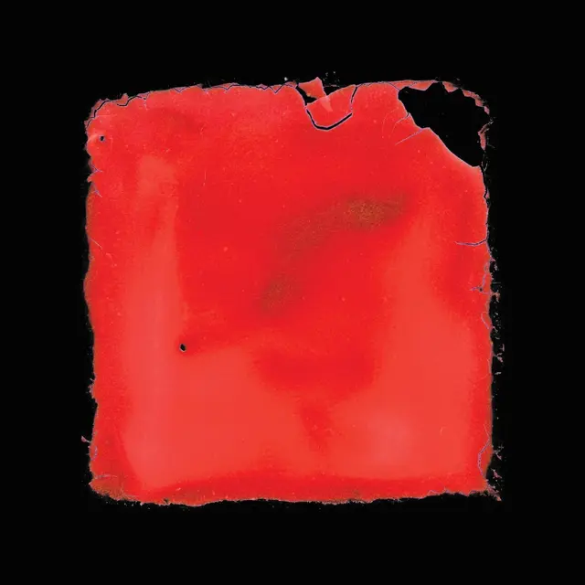 Salvia Palth Last Chance To See (2LP) 