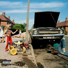 Sam Morton Daffodils &amp; Dirt (LP)