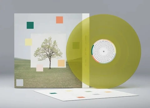 Washed Out Notes From A Quiet Life - LTD (LP) 