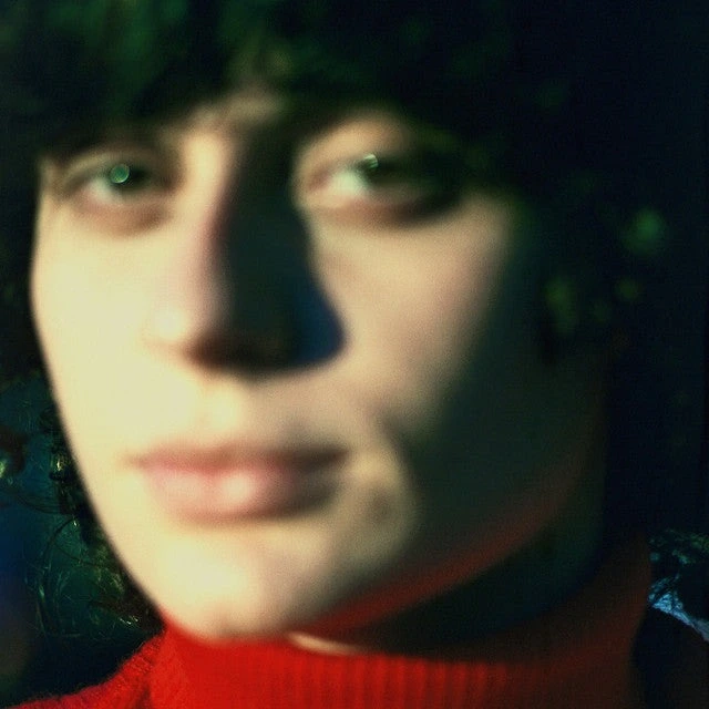 Ana Frango Elétrico Little Electric Chicken Heart (LP) 