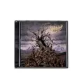 Vulvodynia Entabeni (CD)