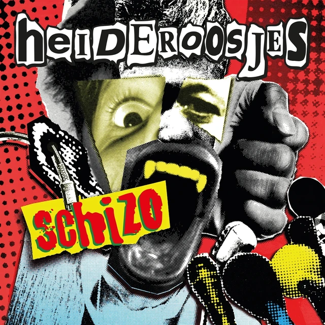 Heideroosjes Schizo (Expanded Edition) - LTD (LP) 