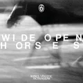 James Vincent McMorrow Wide Open, Horses - LTD (2LP)