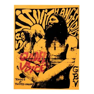 Guided By Voices Tonics &amp; Twisted Chasers (LP)