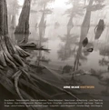 Arne Skage Rootwork (CD)