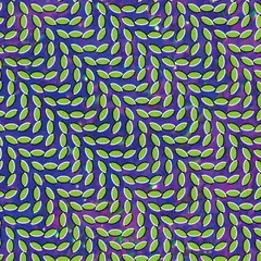 Animal Collective Merriweather Post Pavillion… - LTD (2LP)