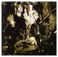 Fields Of The Nephilim Elizium - LTD (2LP)