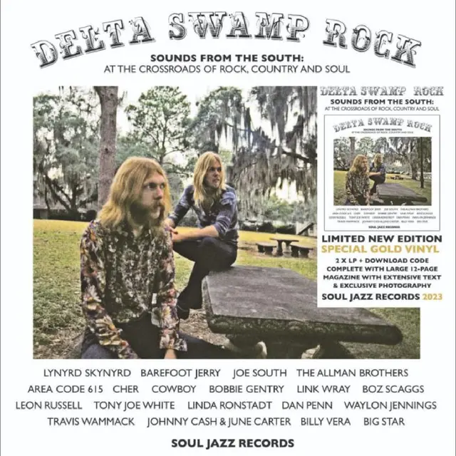 Diverse Artister Delta Swamp Rock - Sounds From… (2LP) 