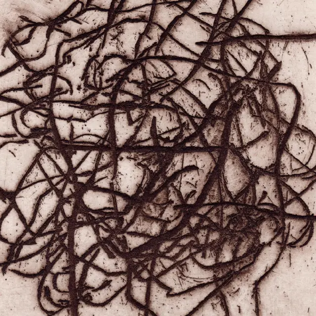K. Leimer And Marc Barreca Arrhythmian (2LP) 