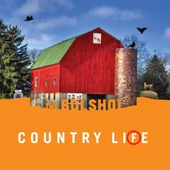 The Bolshoi Country Life - LTD (2LP)