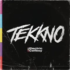 Electric Callboy Tekkno - LTD Fanbox (CD)