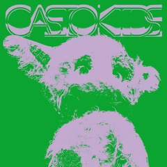 Casiokids Tid For Hjem (LP)