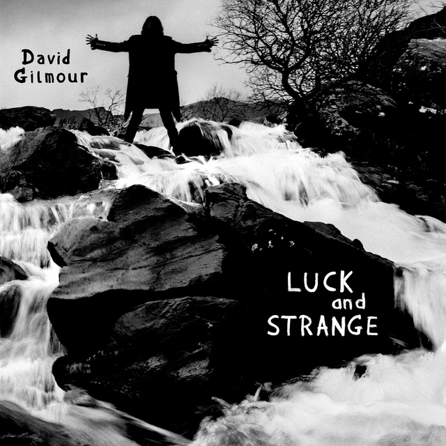 David Gilmour Luck And Strange (LP) 