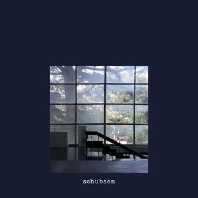 Schubsen Das Öffnen Der Visiere (LP) 