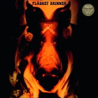 Fläsket Brinner Fläsket Brinner (CD)